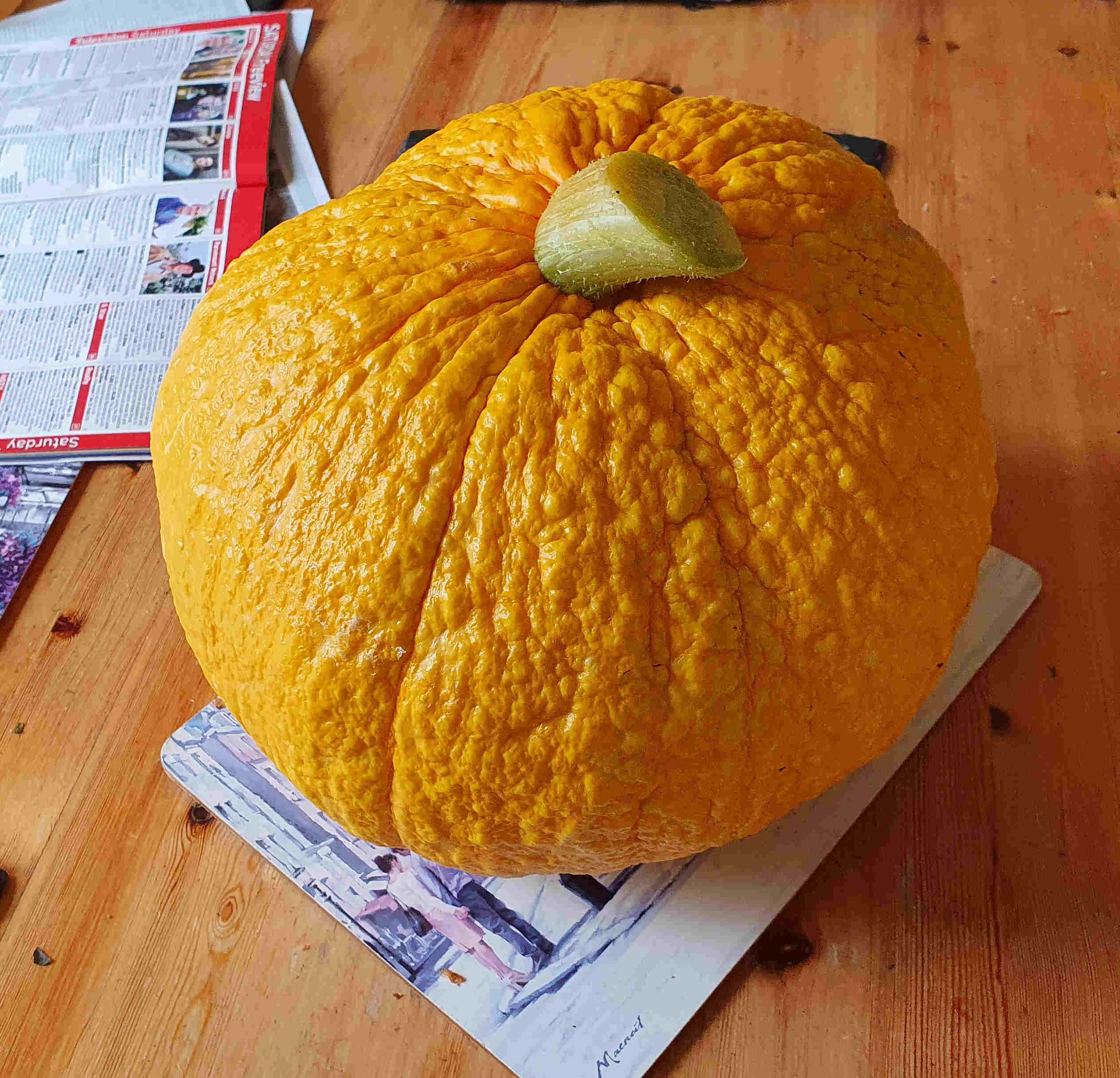 Squash